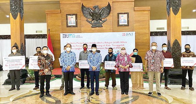bni-salurkan-kur-mikro-bagi-petani-porang-di-trenggalek