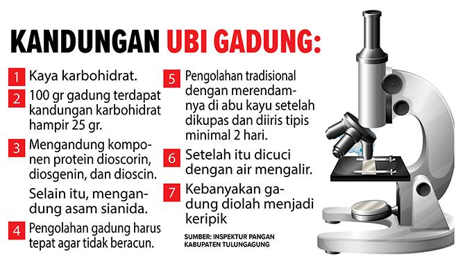 ini-cara-tradisional-netralkan-kandungan-sianida-dalam-ubi-gadung