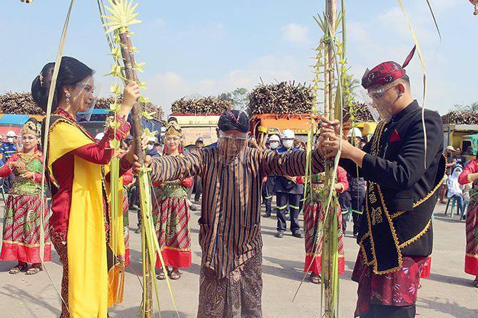 melihat-tradisi-manten-tebu-sambut-musim-panen-dan-giling