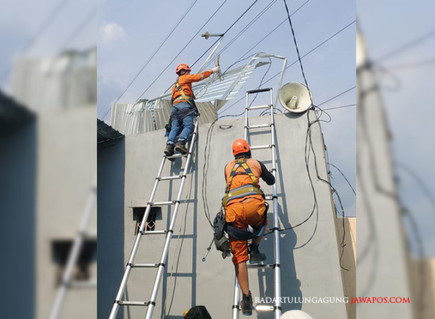 SIGAP: Petugas melakukan evakuasi di lapangan usai menerima laporan dari masyarakat terkait adanya potensi gangguan suplai aliran listrik. (PLN ULTG KEDIRI FOR RADAR BLITAR)