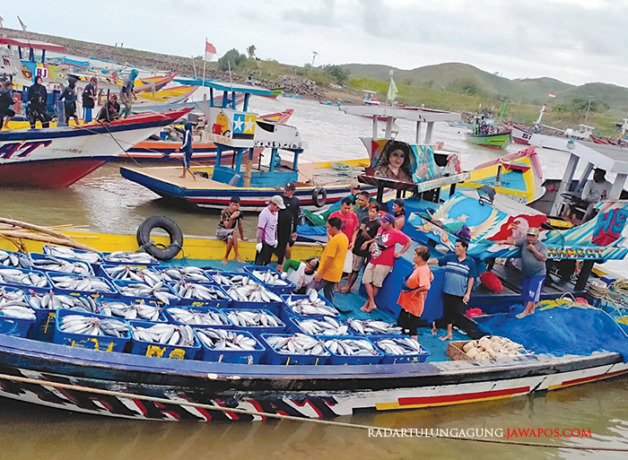 PANEN: Sejumlah nelayan mendarat di Pelabuhan Perikanan Tambakrejo. (ANDRI UNTUK RADAR BLITAR)