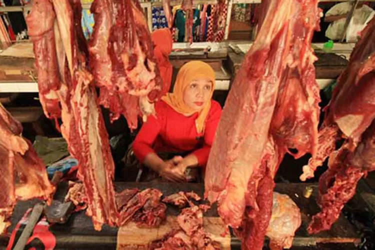 Ilustrasi daging segar. (M RAMDAN/JAWAPOS)