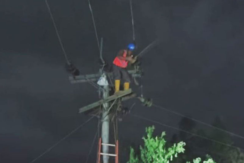 Petugas PLN saat melakukan perbaikan listrik di daerah terdampak gempa bumi yang terjadi di Bantul, Daerah Istimewa Yogyakarta (DIY).  (ANTARA/HO-PLN)