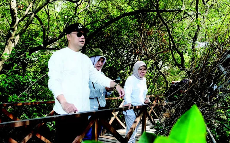 Wali Kota Surabaya Eri Cahyadi saat meninjau Kebun Raya Mangrove di Gunung Anyar. (DK. RADAR SURABAYA)