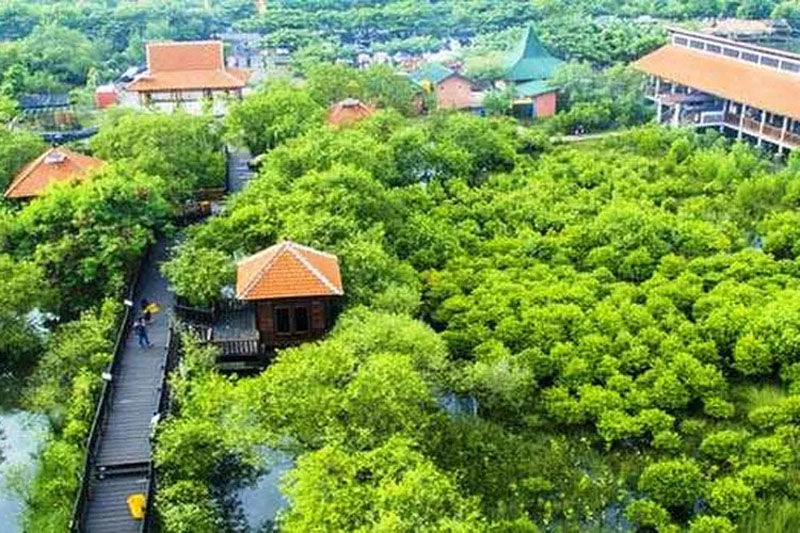 ADEM: Kebun Raya Mangrove Gunung Anyar yang kebun raya mangrove pertama di Indonesia. (DOK. RADAR SURABAYA)