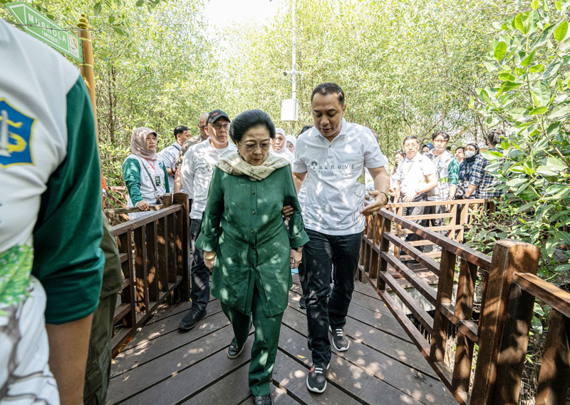 Wali Kota Eri Cahyadi mendampingi Megawati meninjau Kebun Raya Mangrove Surabaya di Gunung Anyar, Rungkut. (SURYANTO/RADAR SURABAYA)