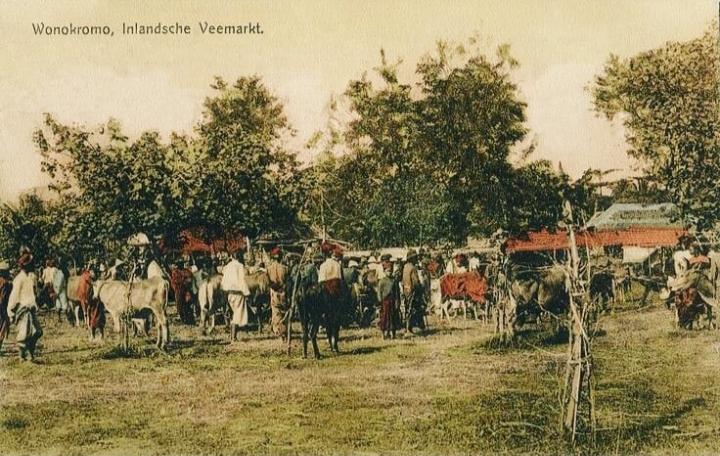 KINI SUDAH LENYAP: Suasana pasar sapi di kawasan Wonokromo sekitar tahun 1830. (ISTIMEWA)