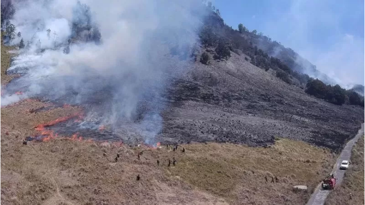 MASIH MENYALA: Kondisi kebakaran di bukit Teletubbies Bromo. (DOK.JAWAPOS.COM)