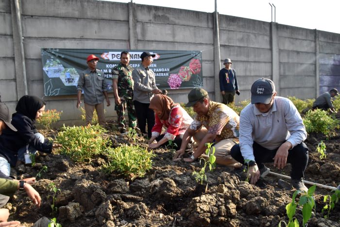 KREATIF: Pegawai DKPP Kota Surabaya bersama kelompok tani masyarakat menanam komoditi cabai dan sayuran di lahan bekas tanah kas desa (BTKD) di Warugunung, Surabaya.