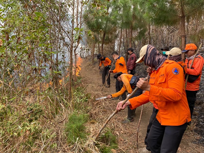 SERIUS: Kebakaran hutan dan lahan (karhutla) di kawasan Gunung Lawu yang terus meluas, menjadi perhatian serius BPBD Jatim. (IST/RADAR SURABAYA)