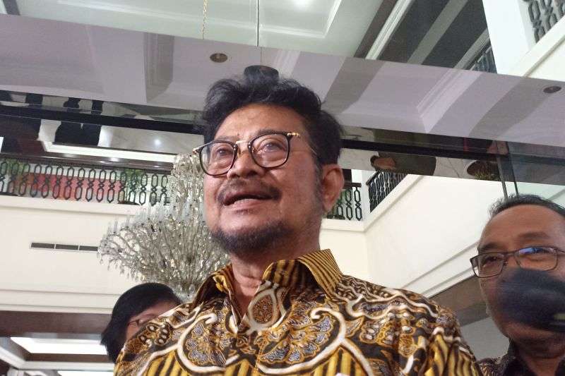Mentan Syahrul Yasin Limpo. (ANTARA)