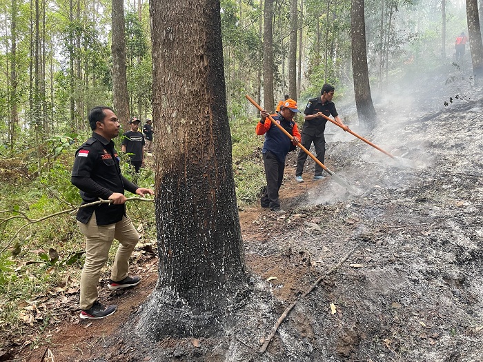 SERIUS: Sejumlah petugas melakukan pemadaman api di Gunung Lawu beberapa waktu lalu. Sekarang pemerintah mulai melakukan pemulihan di gunung yang terletak di Magetan itu. (IST/BPBD JATIM)