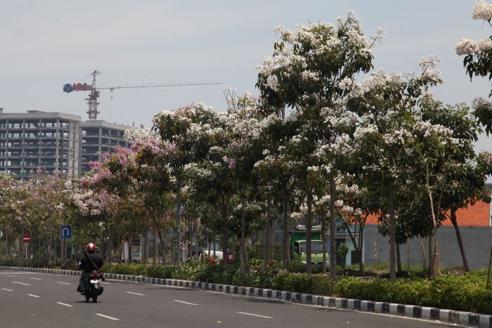 SEPI: Jalan Ir Soekarno (MERR) sisi selatan masih cukup longgar ketika siang hari. Namun saat jam berangkat atau pulang kerja, kawasan tersebut menjadi padat. (SURYANTO/RADAR SURABAYA)