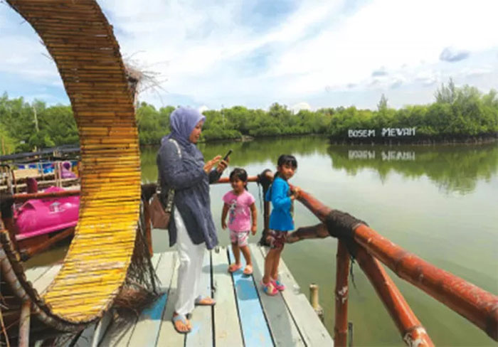 Sebuah keluarga sedang menikmati keindahan alam di Kebun Raya Mangrove Surabaya.