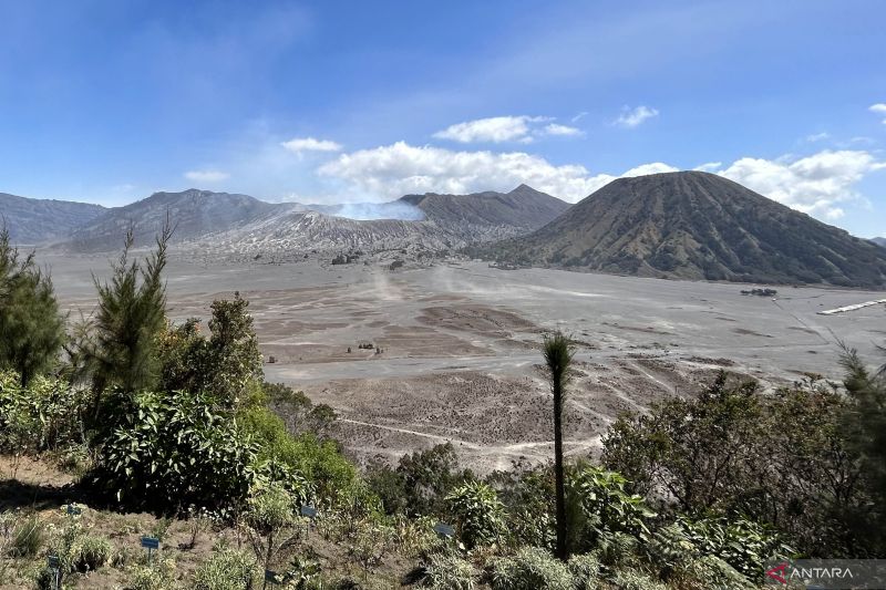 Kawasan Gunung Bromo di Jawa Timur.