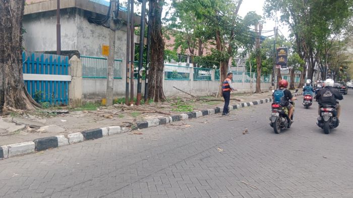 TKP: Lokasi kejadian remaja Kutisari tewas tertimpa ranting pohon di Jalan Raya Rungkut Industri, Surabaya. (M MAHRUS/RADAR SURABAYA)