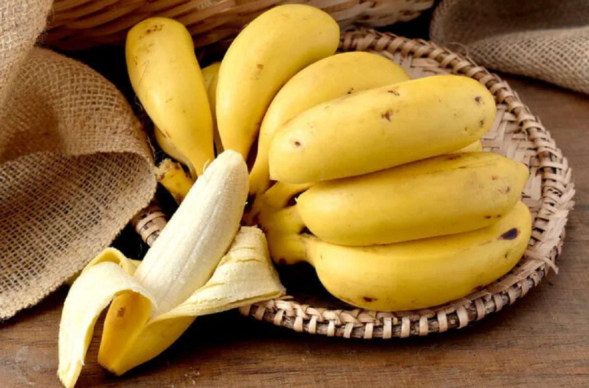 Pisang