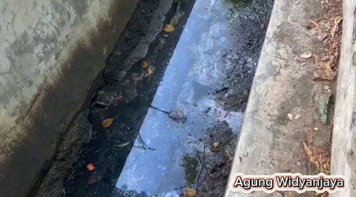Semburan minyak mentah di dekat kebun bibit atawa taman flora Bratang, Surabaya.