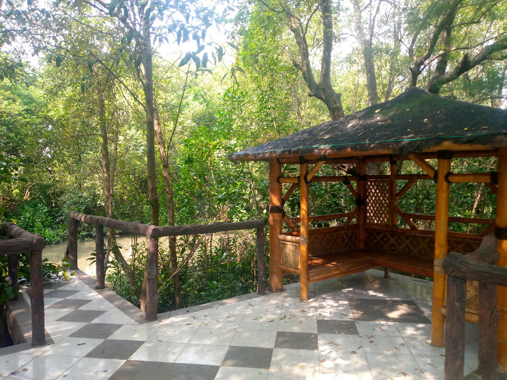 Suasana pagi yang cerah di kebun raya mangrove Gunung Anyar Surabaya.
