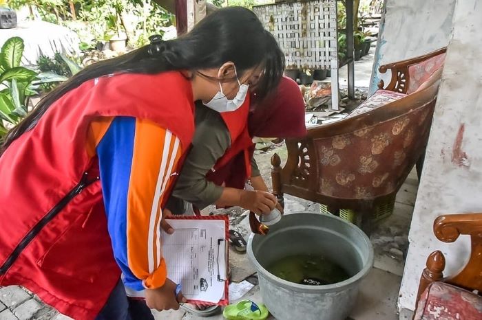 RUTIN: Kader Surabaya Hebat (KSH) sedang melakukan giat jumantik di sejumlah rumah. (IST)