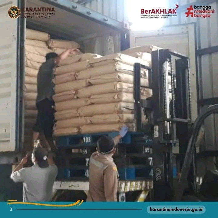 Bubuk kakao siap dikirim ke Pakistan melalui Pelabuhan Tanjung Perak, Surabaya (IST).