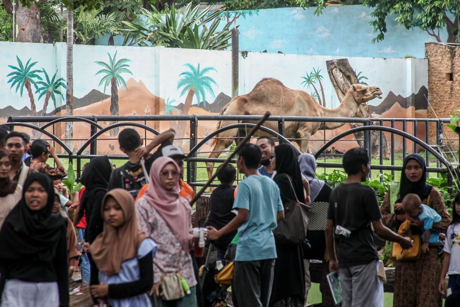Warga memadati area kawasan wisata edukasi Kebun Binatang Surabaya, Kamis (11/4).