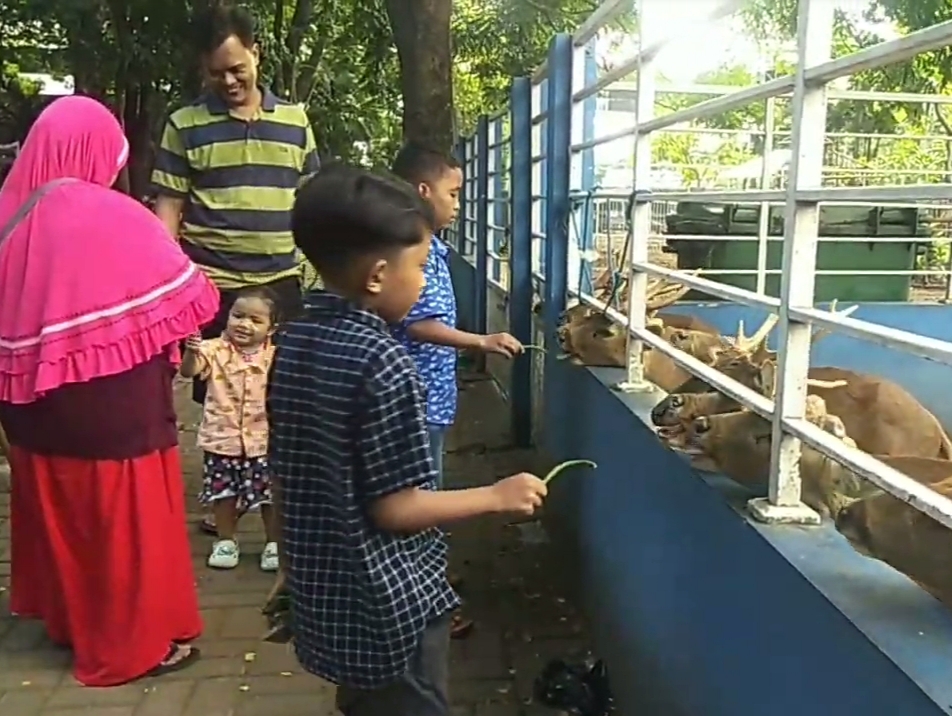 Taman Flora di Jalan Bratang Binangun Surabaya jadi favorit pengunjung untuk menghabiskan liburan dengan anak-anak karena keberadaan aneka tanaman, satwa dan permainan anak.
