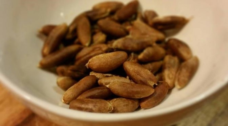 Biji kurma memiliki sejumlah manfaat untuk kesehatan, salah satunya mengatur kadar gula darah.