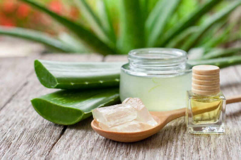 BERKHASIAT: Lidah buaya mengandung sejumlah manfaat bagi kulit dan rambut.