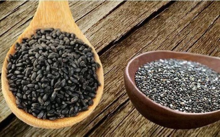 LEMBUT: Ilustrasi biji chia dan biji selasih. (THENATURALHEALTHMARKET)