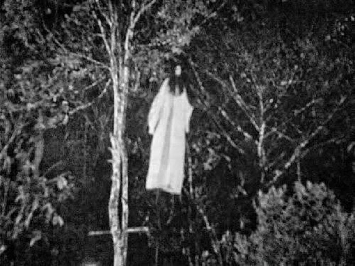 MISTERI: Ilustrasi kuntilanak di atas pohon. (SURABAYA HISTORICAL)