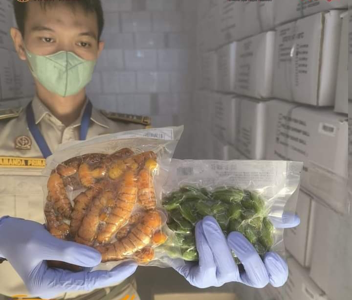 Komoditas kunyit dan petai Jawa Timur siap dikirim ke Korea Selatan (IST).