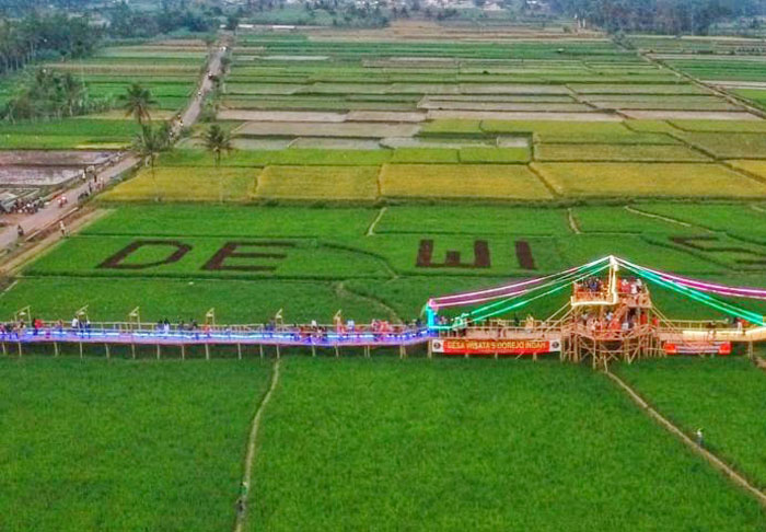Desa Wisata Dewi Anom di Kabupaten Malang yang masuk dalam nominasi ADWI 2024 Kemenparekraf RI.