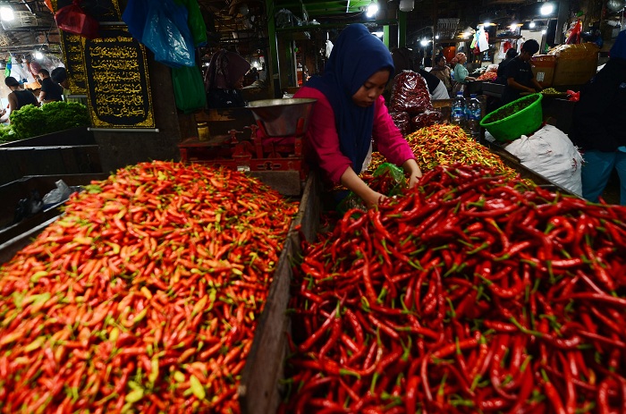PEDAS: Harga cabai merah besar di sejumlah daerah di Jatim merangkak naik hingga Rp 60 ribu per kilogram. (ANDY SATRIA/RADAR SURABAYA)