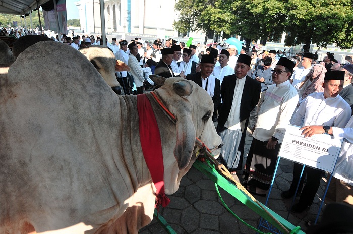 PENYERAHAN: Pj Gubernur Jatim Adhy Karyono menyerahkan sapi kurban Presiden Jokowi kepada penerima, di Masjid NAsional Al Akbar, Surabaya, Senin (17/6). (ANDY SATRIA/RADAR SURABAYA)