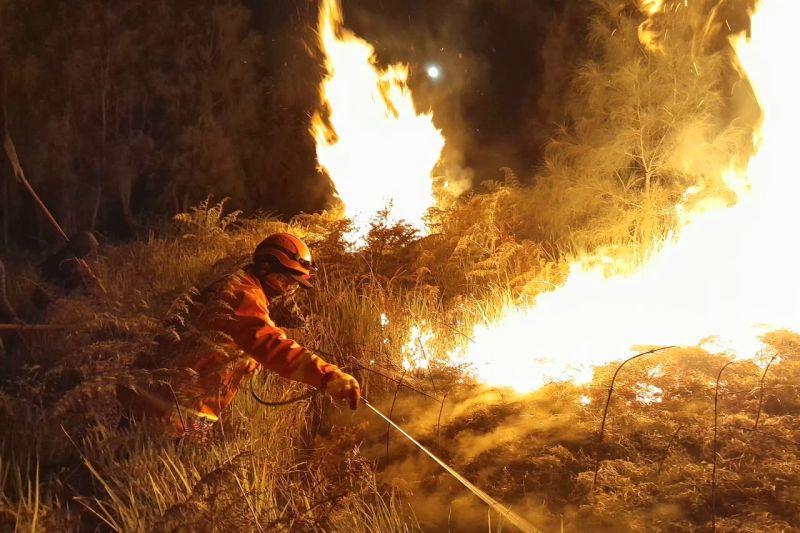 Tim BPBD Jatim melakukan upaya pemadaman kebakaran hutan dan lahan di kawasan Taman Nasional Bromo Tengger Semeru (TNBTS), Sabtu (22/6/2024).