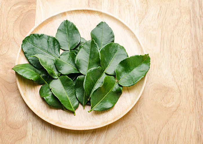 Foto daun jeruk purut yang biasa digunakan sebagai penambah cita rasa pada masakan.