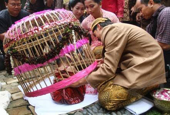 Tradisi pitonan dalam budaya Jawa.