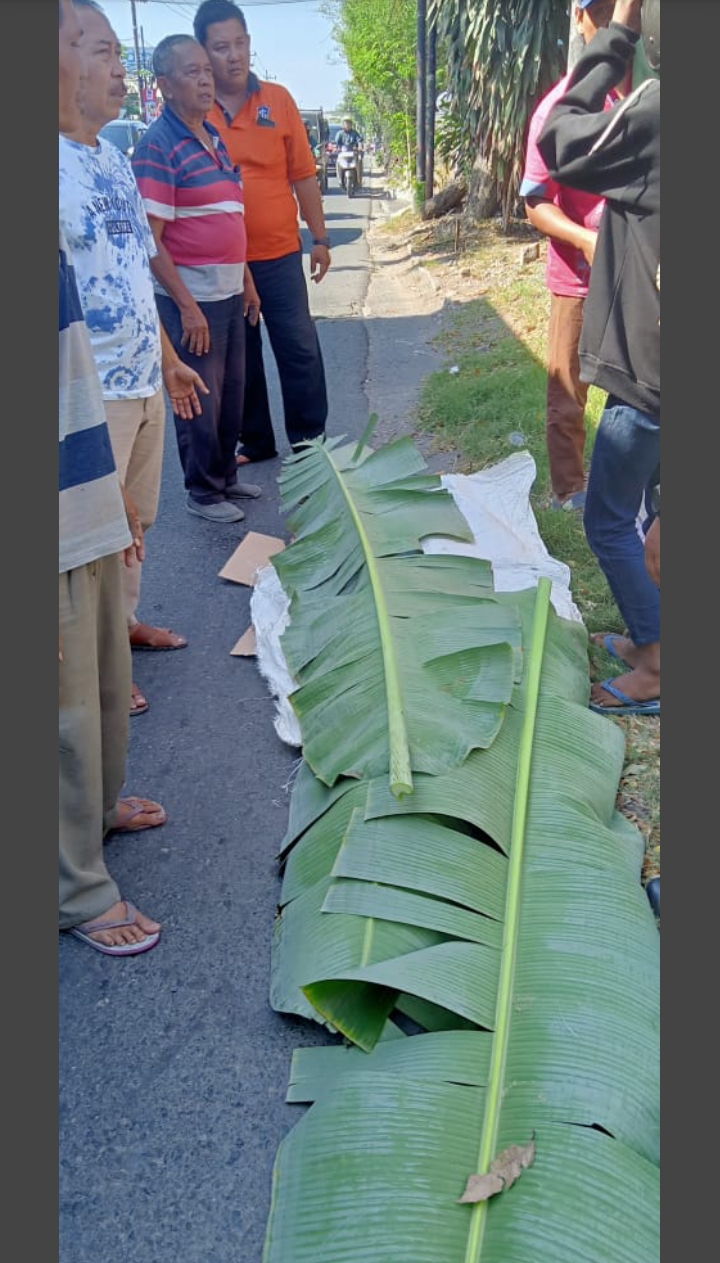 Mayat remaja yang jatuh gandol truk ditutupi daun pisang oleh warga di pinggir Jalan Mastrip, Surabaya, Sabtu (20/7). (IST)