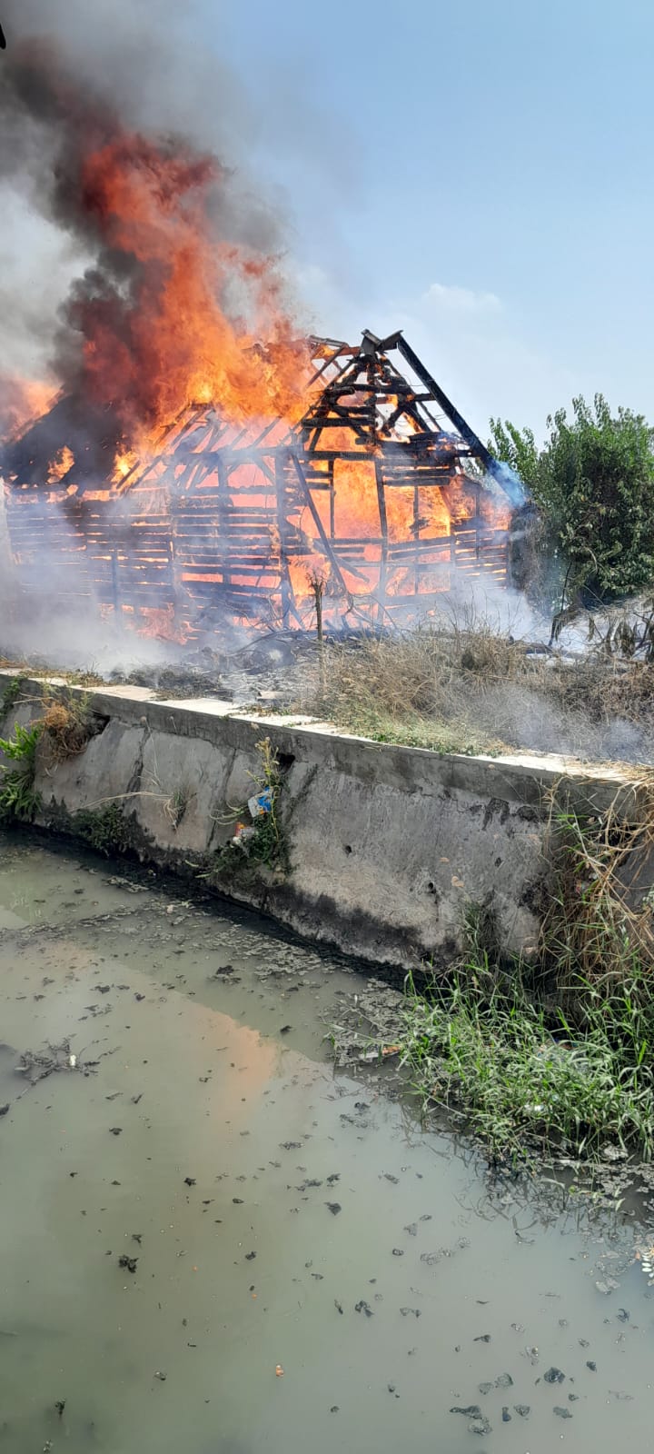 Api membakar gudang tambak di kawasan Jalan Pondok Benowo Indah, Surabaya, Minggu (28/7). (IST)