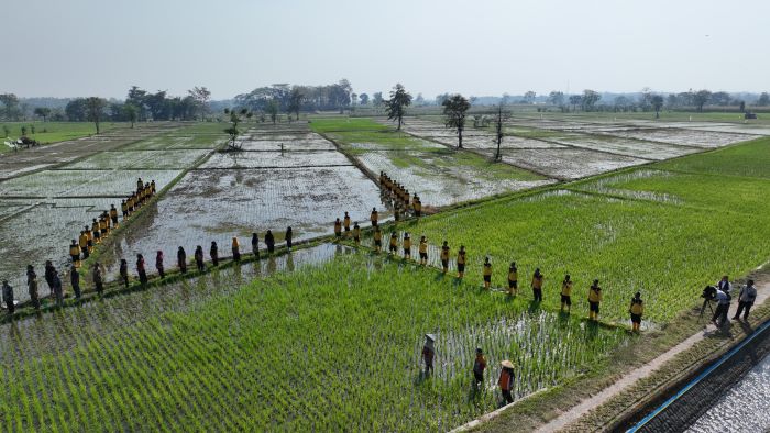 KHIDMAT: Petani dan petugas irigasi melakukan upacara pengibaran bendera di sawah, di Daerah Irigasi Telebuk, Desa Lemahbang, Kecamatan Sukorejo, Kabupaten Pasuruan, Sabtu (17/8). (IST)
