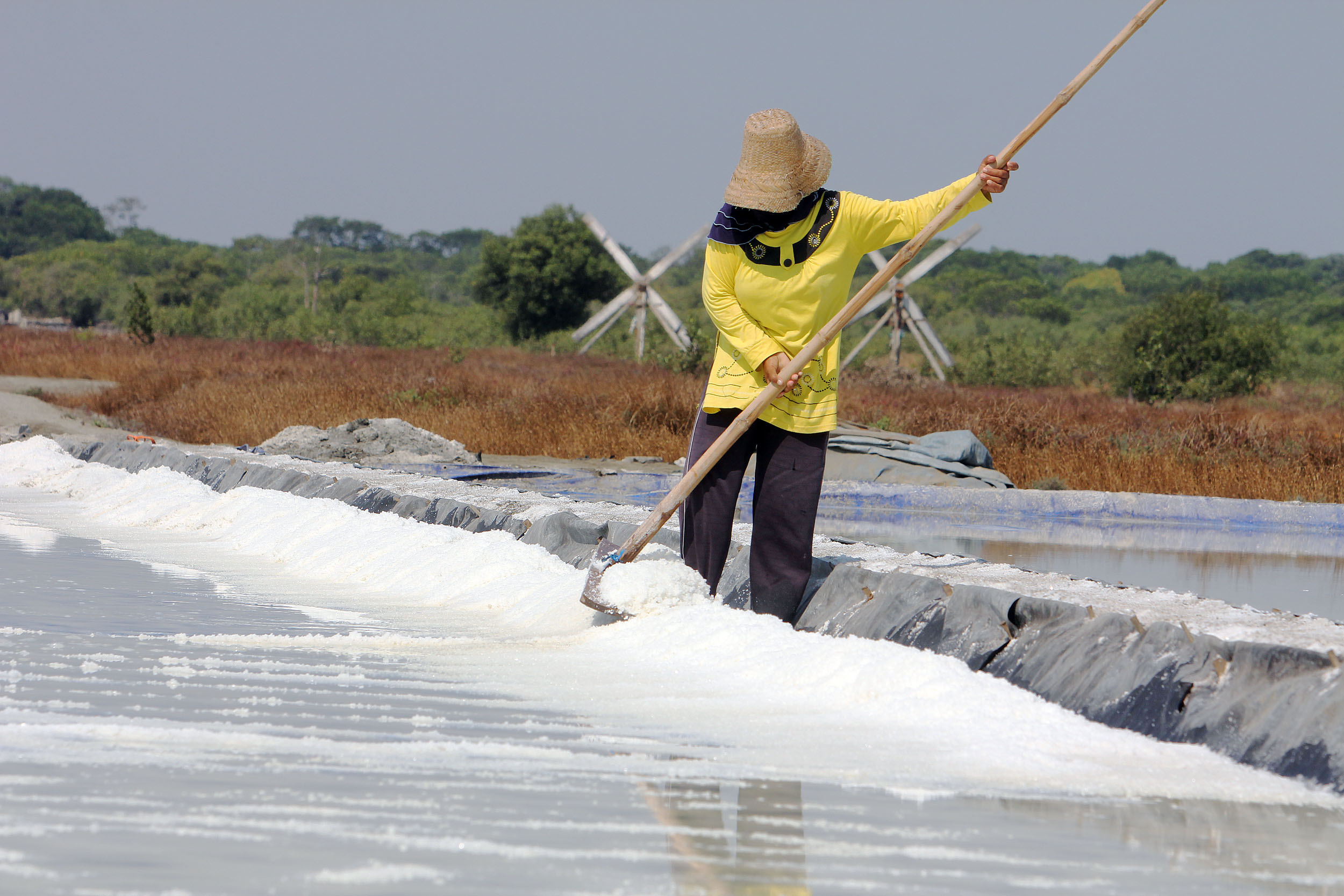 TERJUNG BEBAS: Harga garam terus mengalami penurunan sejak masa panen tahun 2023 yang mencapai Rp 1.500 per kg. (IST)