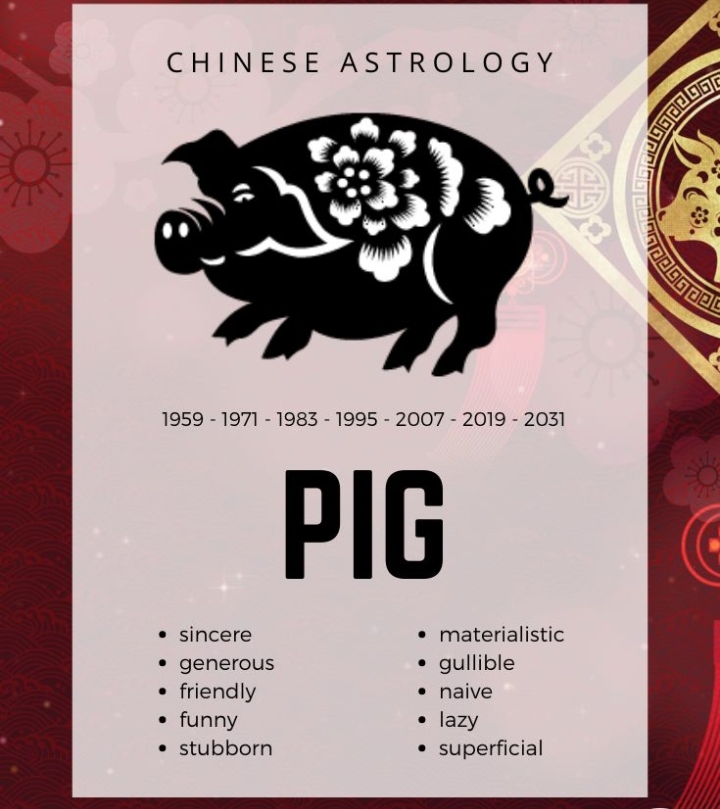 Shio babi salh satu shio dalam horoskop Tionghoa. (IST)