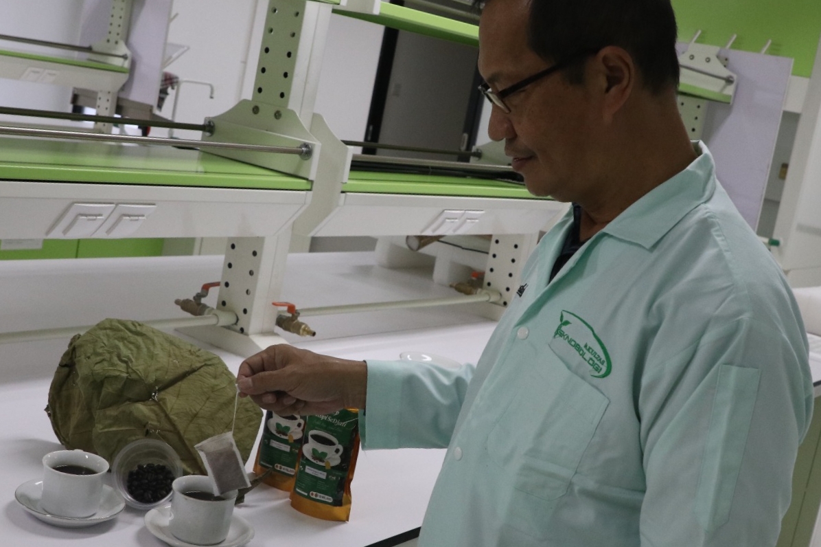 ANTIOKSIDAN DAN ANTIINFLAMASI: Perpaduan daun jati dan bubuk kopi robusta dalam kantong celup memiliki manfaat untuk mencegah penyakit kronis.