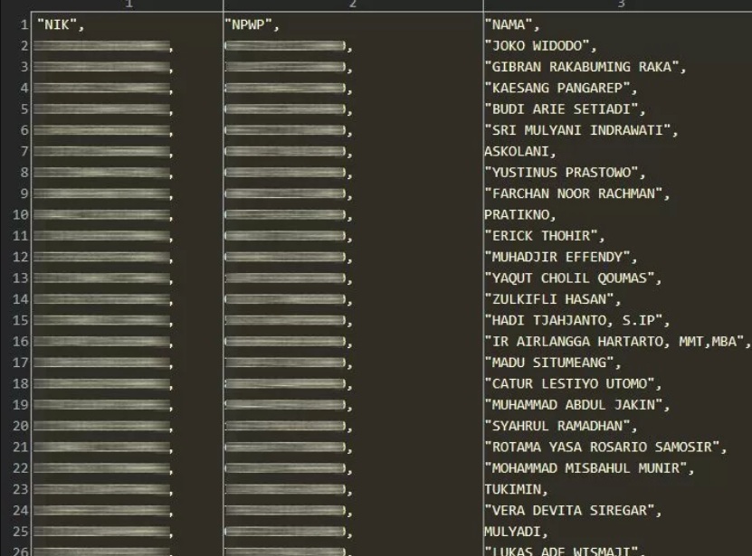 KEMBALI BERULAH: Sampel data yang dibocorkan oleh Bjorka yag ditampilkan akun X milik Teguh Aprianto.
