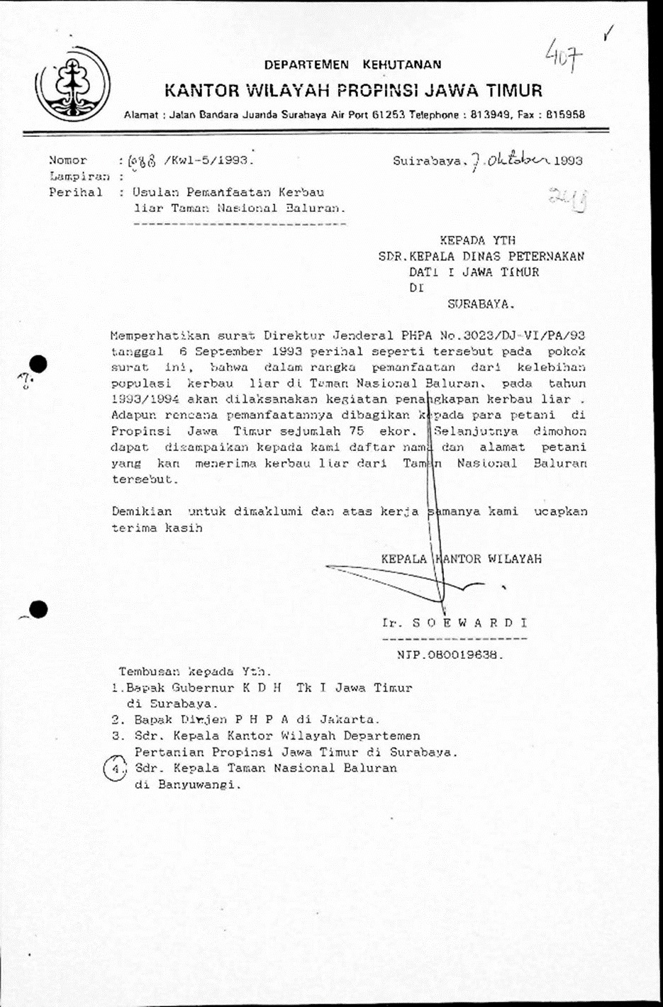 Surat Kanwil Kehutanan Provinsi Jawa Timur tentang Usulan Pemanfaatan Kerbau Liar.