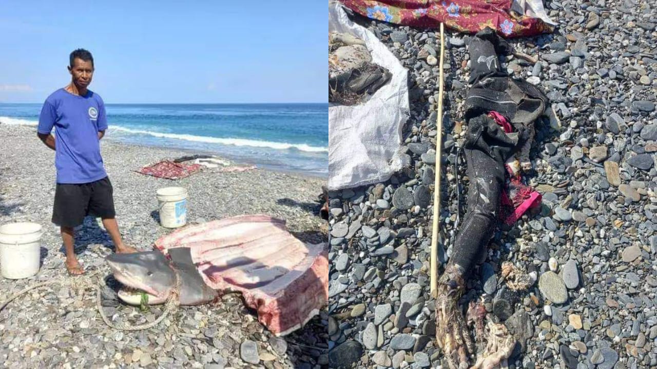 Foto ikan hiu yang telah dibedah (kiri) dan jasad potongan tangan wanita (kanan).
