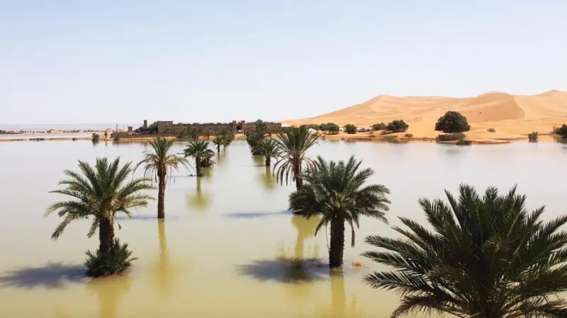 Gurun Sahara mengalami banjir, peristiwa langka dalam kurun waktu 50 tahun terakhir.