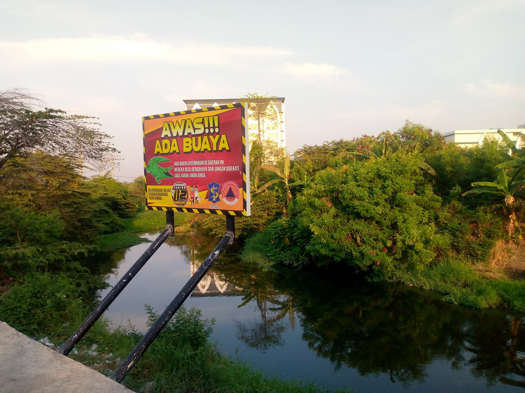 Peringatan awas ada buaya di Sungai Gunung Anyar Surabaya dekat kampus UINSA. Buaya muara kerap melintas di sungai ini. (Lambertus/Hurek)