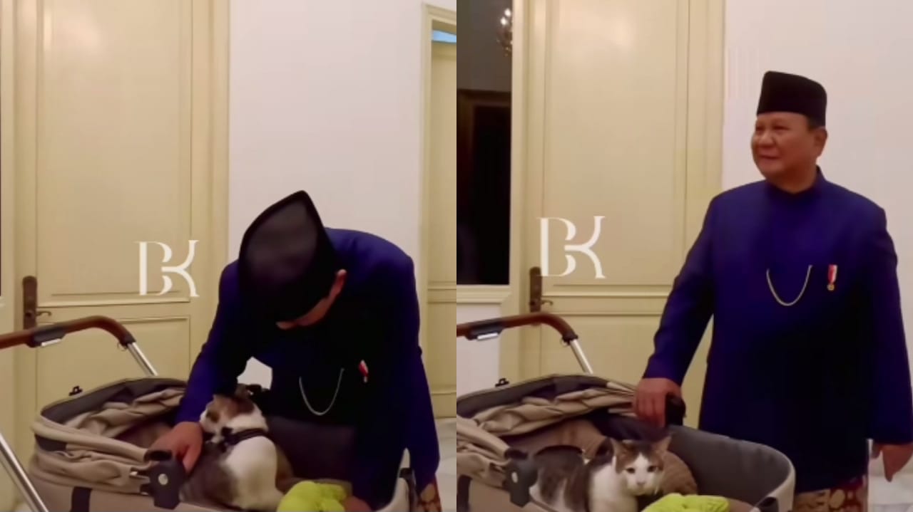 Momen Bobby kucing kesayangan Prabowo ikut boyongan ke Istana Negara